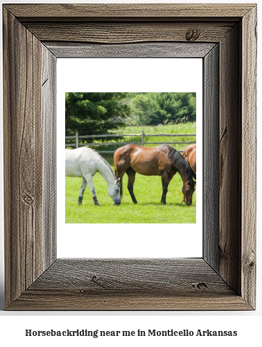 horseback riding near me in Monticello, Arkansas